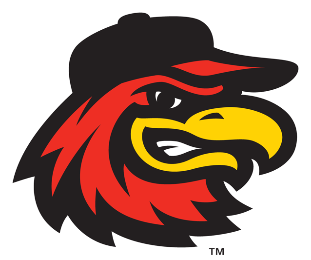 Rochester Red Wings | Sean Patrick O'Leary | Digital Marketing, UX Design, Web Development (Rochester, NY)